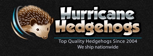 Hurricane Hedgehogs